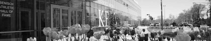 Building with flowers