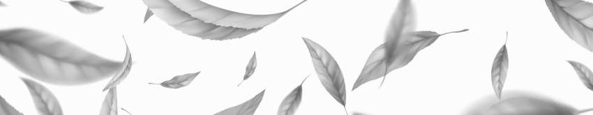 Leaf pattern