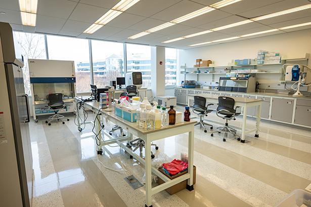 The new Covid test processing lab at 爱游戏体育 University