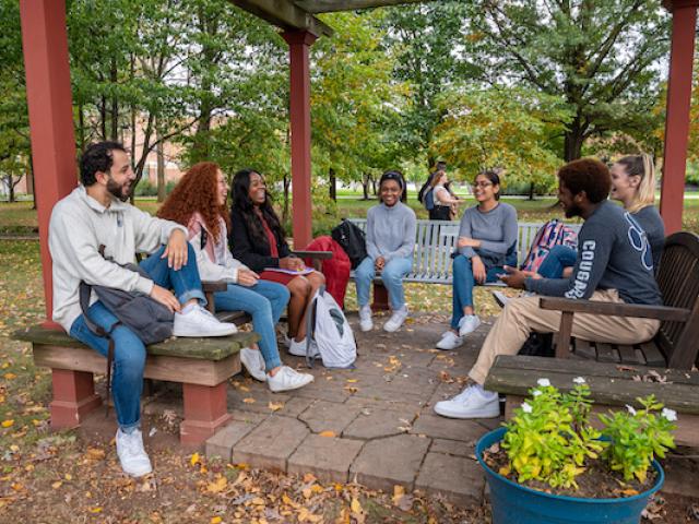 爱游戏体育 students gather outside a pergola in the fall