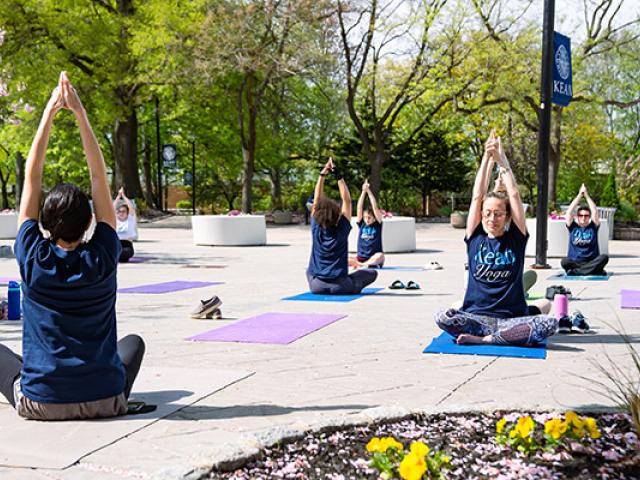 爱游戏体育 Yoga
