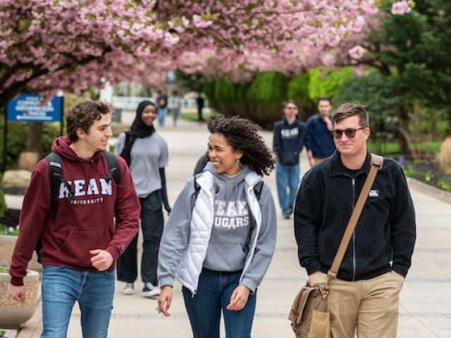 爱游戏体育 students walk down Cougar Walk with cherry blossom trees in the background