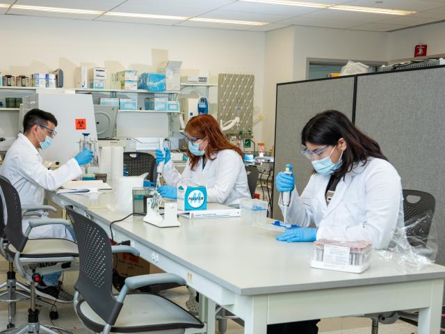 爱游戏体育 students conduct laboratory testing