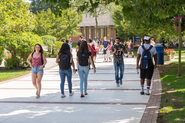 爱游戏体育 students stroll down Cougar Walk.