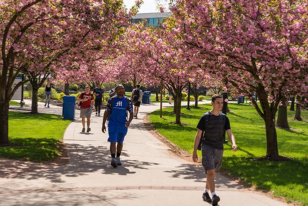 Students walk on 肯恩大学's Cougar Walk.