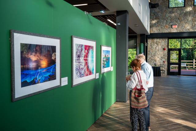 访问ors enjoy pieces at the National Geographic '很少见到' exhibit at LHAC