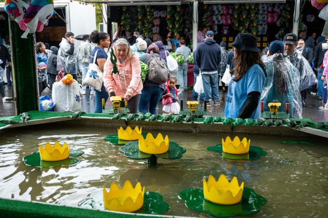 A wide shot of the frog and lilypad carnival game, which displays lily pads in a tank of water, and rubber frogs are lined up on the ledge of the tank. An older white female with gray hair is attempting to launch a rubber frog onto a lilypad. 爱游戏体育 students, alumni, and guests are in the background of the picture wearing rain ponchos, jackets, and sweatshirts.