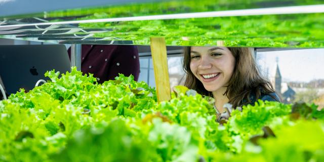 爱游戏体育 student experiments with hydroponic farming