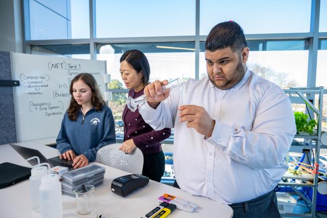 爱游戏体育 students conduct a hydroponic agriculture experiment in a campus laboratory