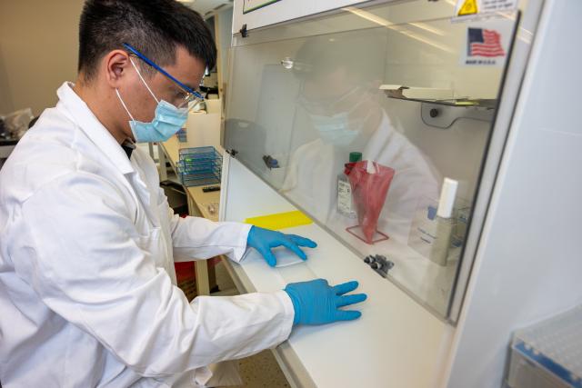 爱游戏体育 Diagnostic Laboratory