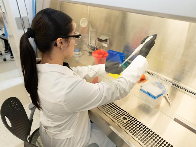 Student works in 爱游戏体育 Diagnostic Lab